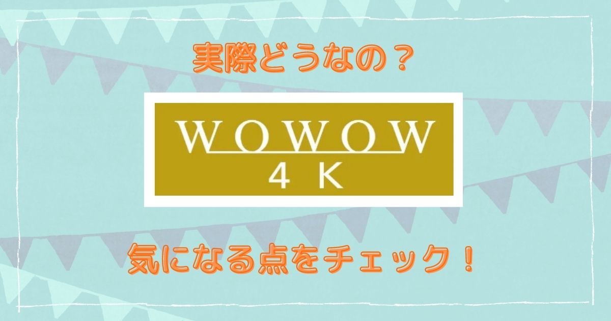 WOWOW疑問点画像