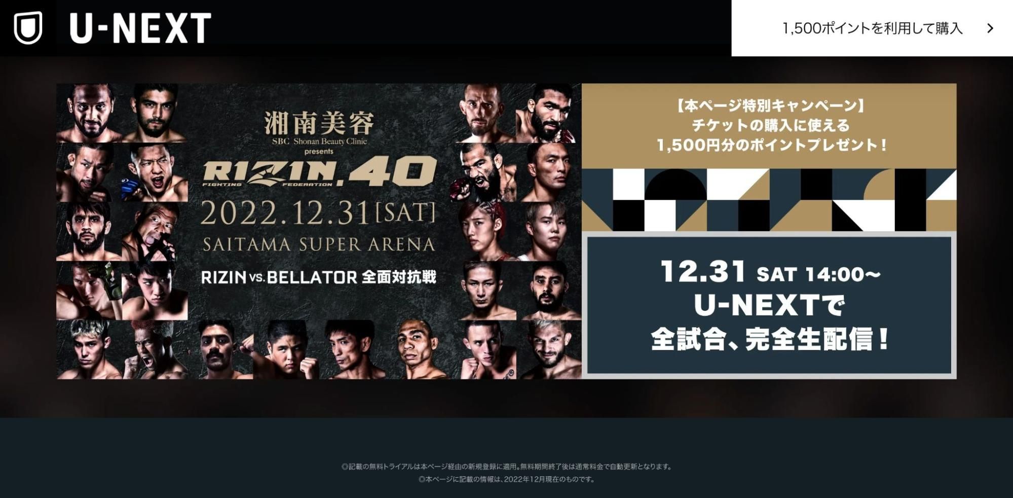 RIZIN_大晦日01