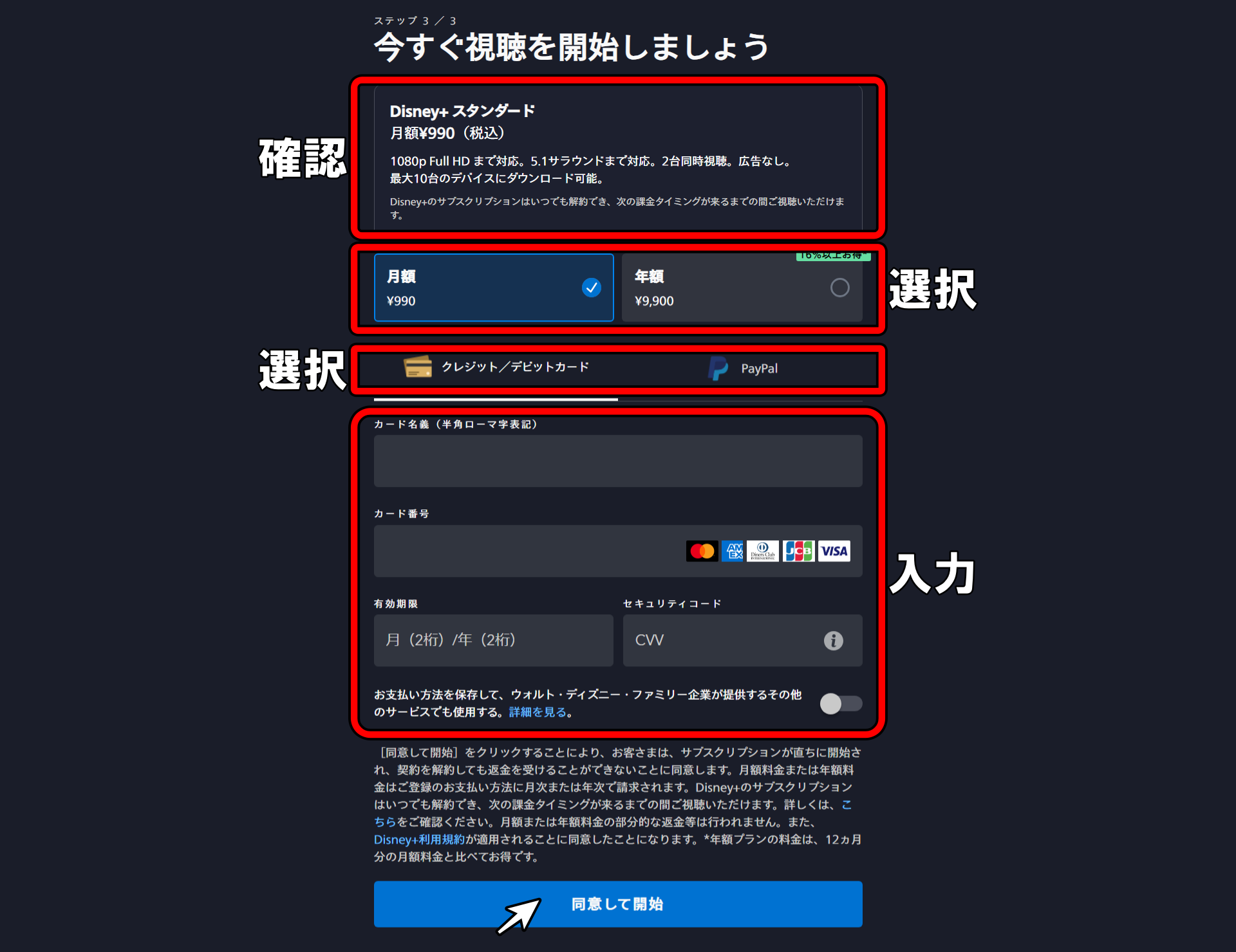 ディズニープラス登録画面3
